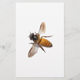 Honey Bee Briefpapier
