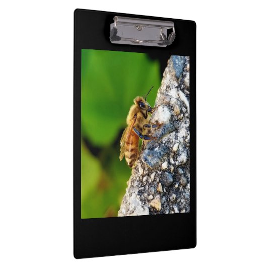 Honey Bee Clipboard Klemmbrett (Rechts)