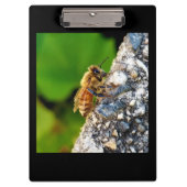 Honey Bee Clipboard Klemmbrett (Vorderseite)