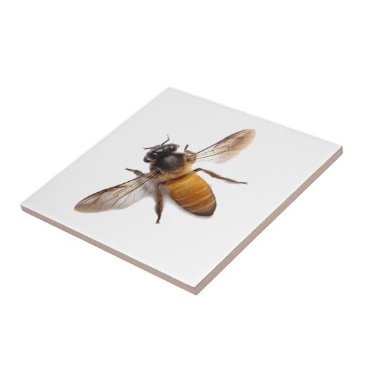 Honey Bee Fliese (Seite)