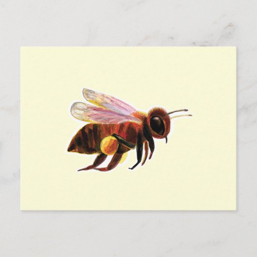 Honey Bee Flying Postkarte (Vorderseite)