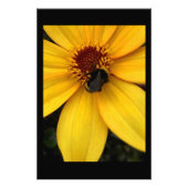 Honey bee fotodruck (Vorne)