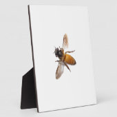 Honey Bee Fotoplatte (Seite)