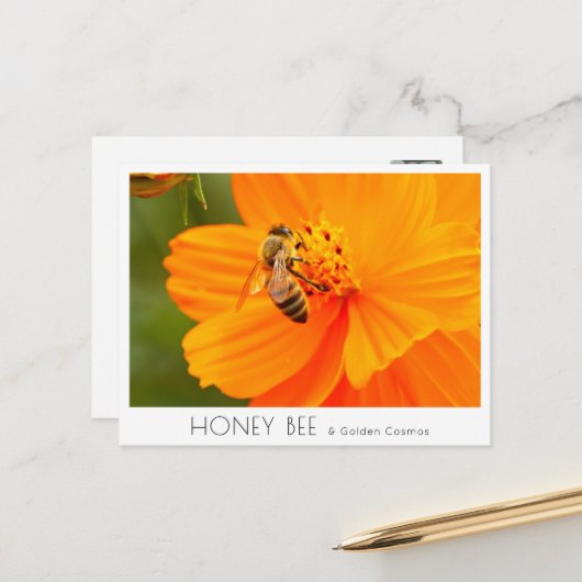 Honey Bee & Golden Cosmos Postkarte (Vorderseite/Rückseite Beispiel)