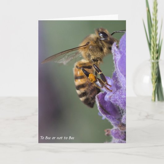 Honey Bee Greeting Card Blank Karte (Vorderseite)