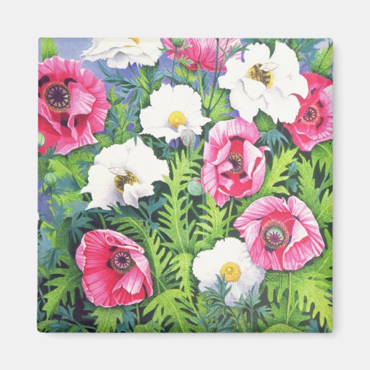 Honey Bee Honey Bee Magnet (Vorne)