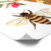 Honey Bee Illustration Poster (Ecke)
