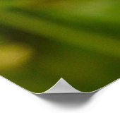 Honey Bee in Flight Poster (Ecke)