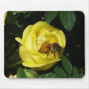 Honey Bee Inside Yellow Rose Bud Mousepad