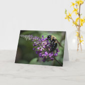 Honey Bee, Karte (Gelbe Blume)