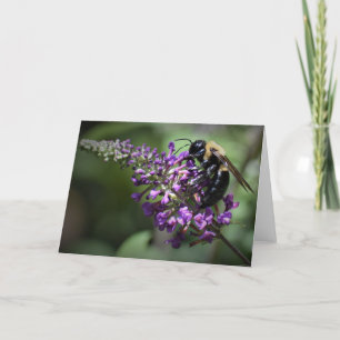 Honey Bee, Karte