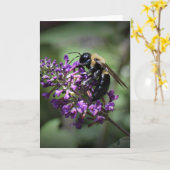 Honey Bee, Karte (Gelbe Blume)
