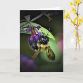 Honey Bee, Karte (Gelbe Blume)