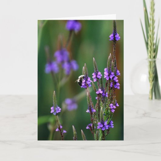 Honey Bee Karte (Vorderseite)