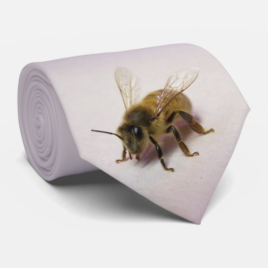 Honey Bee Krawatte (Gerollt)