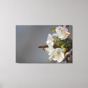 Honey Bee Leinwanddruck
