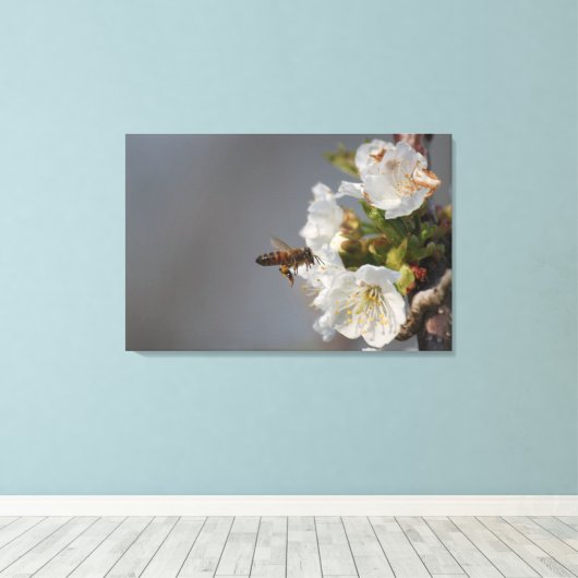 Honey Bee Leinwanddruck (Insitu (Holzboden))