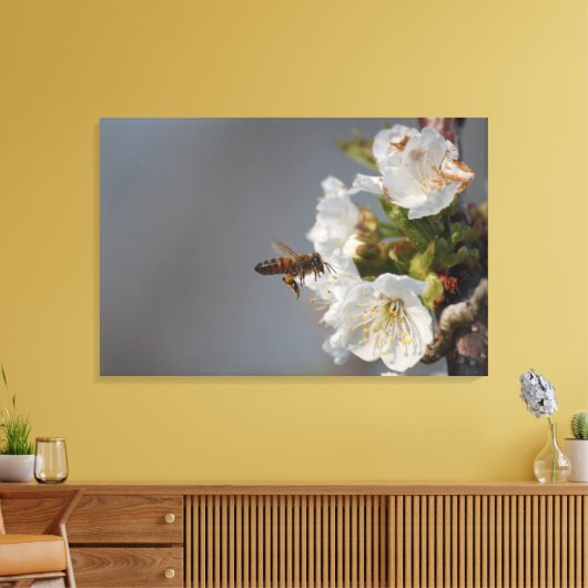Honey Bee Leinwanddruck (Insitu (Wohnzimmer))