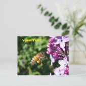 Honey Bee Lieben Lilac Pollen Postkarte (Stehend Vorderseite)