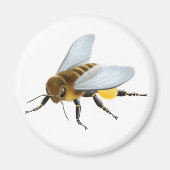 Honey Bee Magnet (Vorne)