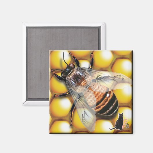 Honey Bee Magnet (Vorderseite/Rückseite)
