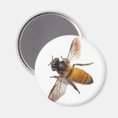 Honey Bee Magnet (Vorderseite/Rückseite)