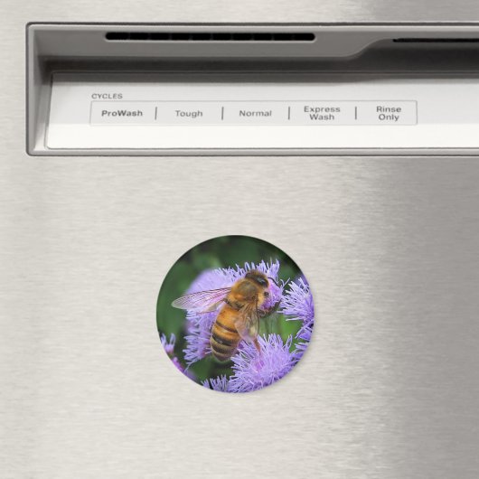 Honey Bee Magnet (In Situ (Geschirrspüler))
