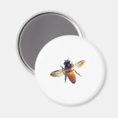 Honey Bee Magnet (Vorderseite/Rückseite)