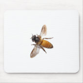 Honey Bee Mousepad (Vorne)