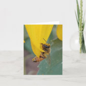 Honey Bee Note Card (Vorderseite)