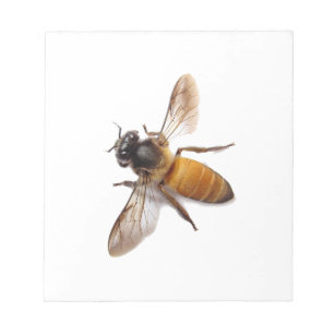 Honey Bee Notizblock
