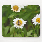 Honey Bee on a Daisy Mousepad (Vorne)