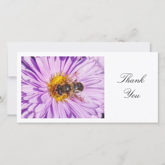 Honey Bee on a Michaelmas Daisy - Danke (Vorderseite)