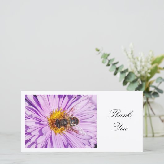 Honey Bee on a Michaelmas Daisy - Danke (Stehend Vorderseite)