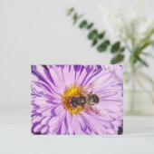 Honey Bee on a Michaelmas Daisy Postkarte (Stehend Vorderseite)