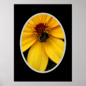 Honey bee ON A YELLOW BLOOM Poster (Vorne)