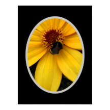 Honey bee ON A YELLOW BLOOM