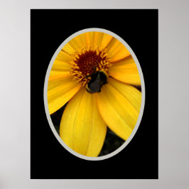 Honey bee ON A YELLOW BLOOM Poster