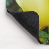 Honey Bee on a Yellow Rose Ihre Initialen Mousepad (Ecke)