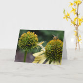 Honey Bee on Coneflower Greeting Card Karte (Gelbe Blume)