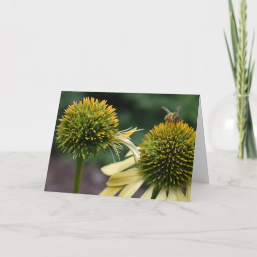 Honey Bee on Coneflower Greeting Card Karte (Vorderseite)