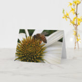 Honey Bee on Coneflower Greeting Card Karte (Gelbe Blume)