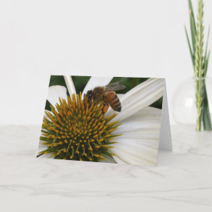 Honey Bee on Coneflower Greeting Card Karte