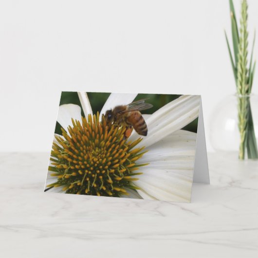 Honey Bee on Coneflower Greeting Card Karte (Vorderseite)