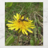 Honey Bee on Dandelion Blume Weinetikett (Einzelnes Label)