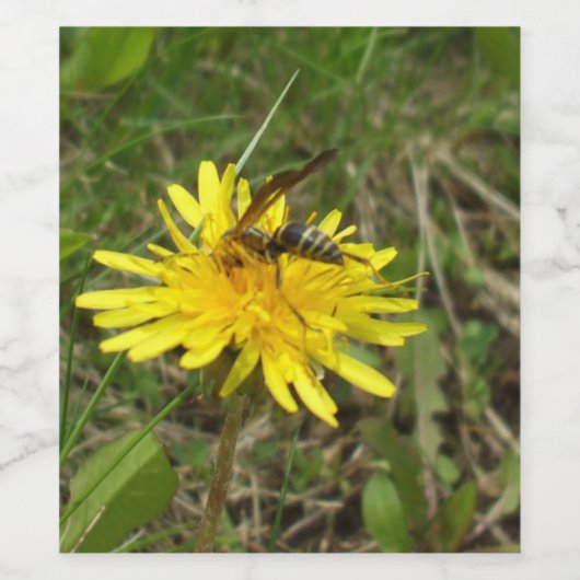Honey Bee on Dandelion Blume Weinetikett (Einzelnes Label)