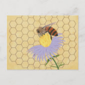 Honey bee on flower honeycomb background postcards postkarte (Vorderseite)