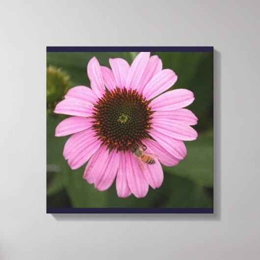 Honey Bee on Garden Blume Leinwanddruck (Vorderseite)