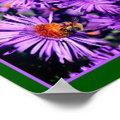 Honey Bee On Lila Aster Blume Abstrakt Poster (Ecke)