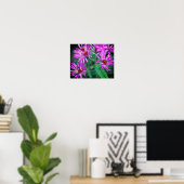 Honey Bee On Pink New England Aster Blume Poster (Heimbüro)